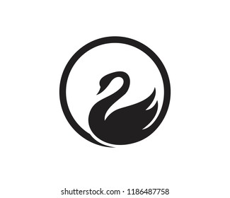 Swan logo and symbol vector