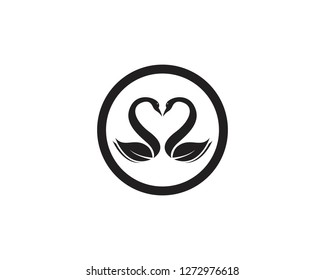 Swan logo and symbol vector