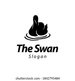 swan logo and symbol vector template