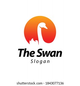 logotipo de swan y plantilla vectorial de símbolos