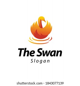 swan logo and symbol vector template