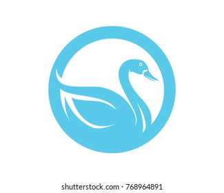 Swan  logo and symbols Template
