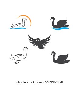 Swan logo Template vector illustration design
