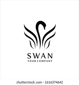 Swan logo Template vector illustration design, swans ideas design vector illustration on background, swan  logo design inspiration