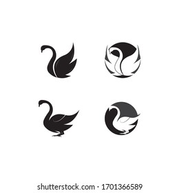 Swan logo Template vector illustration design
