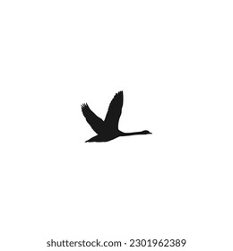 Logotipo de cisne Modelo Diseño de ilustración vectorial.Icono de logotipo de cisne elementos de plantilla vectorial.Silueta negra cisne mayor ave voladora.logotipo vectorial de silueta de ganso volador aislado en fondo blanco.