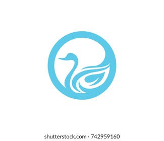 Swan logo Template vector illustration design