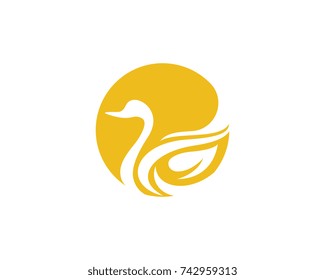 Swan logo Template vector illustration design