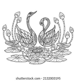 Swan and lotus. Hand drawn sketch illustration for adult coloring book