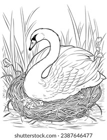 Swan in the nest coloring page