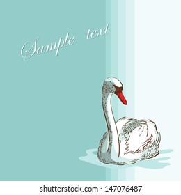 Swan on the  blue background