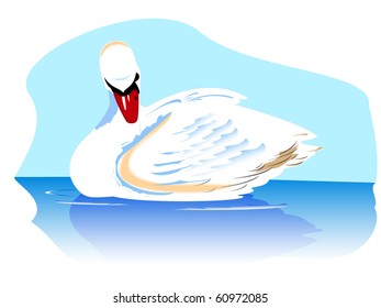 Swan on lake