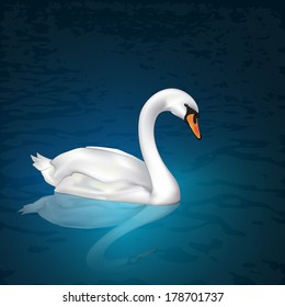 Swan on the lake, vector
