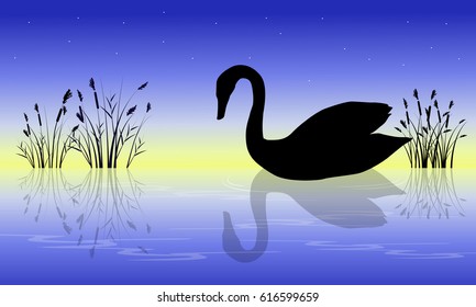 Swan on the river at sunrise scenery vector art