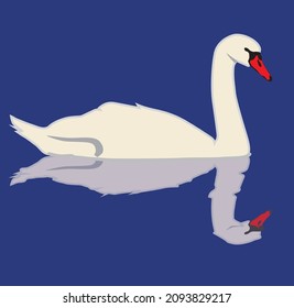 Swan on the water illustration
