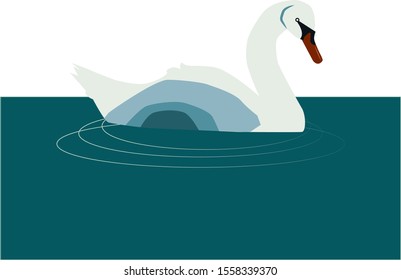 Swan on water, illustration, vector on white background.