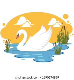 swan in a pond illustration 