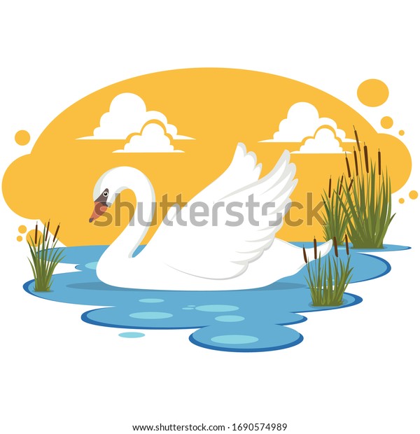 swan in a pond illustration\
