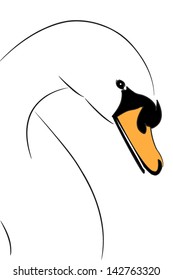 swan portrait