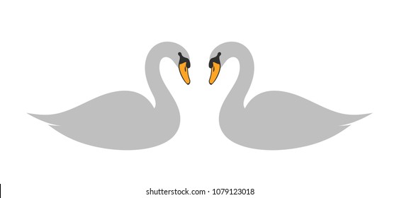 Swan set. Isolated swan on white background