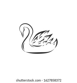 Swan shape isolated on white. Vector illustration.