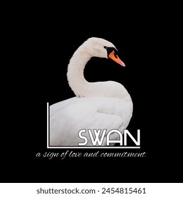 Swan a sign of love and commitment graphic print , Abstract fashion drawing and creative design for t-shirts, mugs, graphic tee, sweatshirt, cases, etc. Illustration in modern style for clothes.