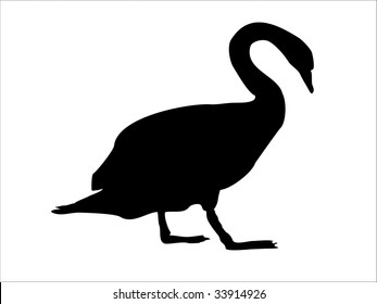 swan silhouette