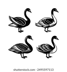 Swan Silhouette Art Vector Illustration - Ideal for T-shirt Design, Hoodie Design, Pillow Cover Design, and More