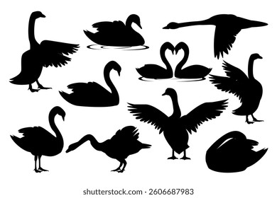 Swan Silhouette. Black and white Vector Illustration