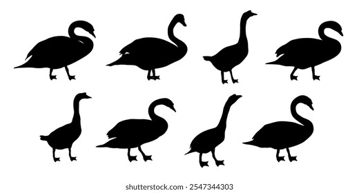 Swan silhouette design element in various sape, suitable for logo, mascot, or illustration.