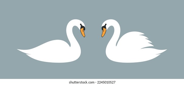 Swan silhouette. Isolated swan on white background