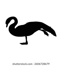 Swan Silhouette isolated on white background. Vector illustration