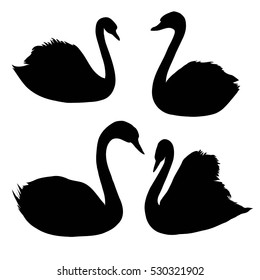 Swan silhouette - vector, illustration