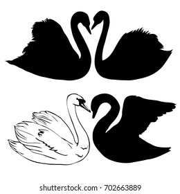 Swan, silhouette, vector, illustration
