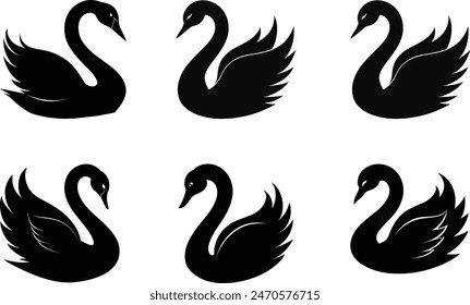 Swan silhouettes on white background 