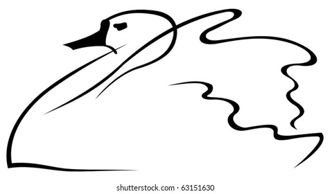 Swan. Sketch.