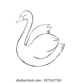 Swan sketch. Black bird isolated on a white background. illustrations vector