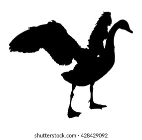Swan spread wings vector silhouette illustration isolated on white background. goose wide spread wings.