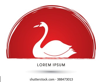 Swan swimming designed on grunge sunset background graphic vector