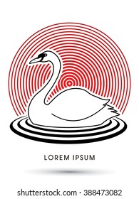 Swan swimming designed on line sunlight background graphic vector