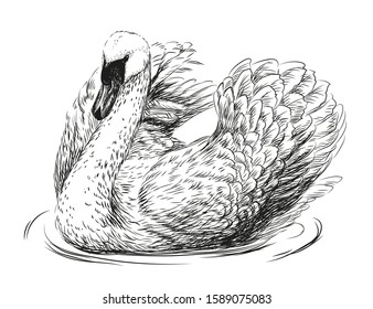 1,589 Swan fidelity Images, Stock Photos & Vectors | Shutterstock