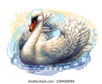 The swan is swimming. Hand-drawn, artistic, flowered image of a swan bird on a white background in a watercolor style.