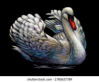 The swan is swimming. Hand-drawn, artistic, flowered image of a swan bird on a black background.