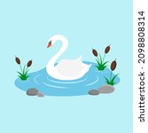 Swan swimming in the lake with reeds. Swan cartoon character. Flat style. Vector illustration
