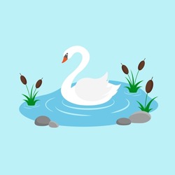 Swan Swimming In The Lake With Reeds. Swan Cartoon Character. Flat Style. Vector Illustration