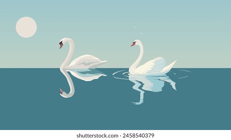 swan swimming in the pond 