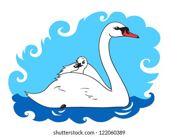 Swan swims with chick on her back