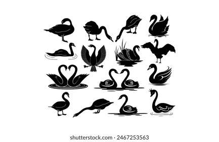 Swan  Vector bundle, Baby Penguin Clipart, Silhouette, Vector, icons, illustration, design.
