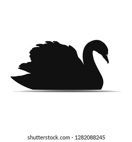 Swan Vector Illustration