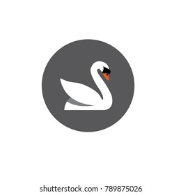 swan vector illustration